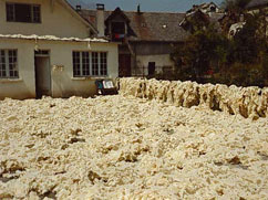 La laine pert de 35 à 65% de son poids initial